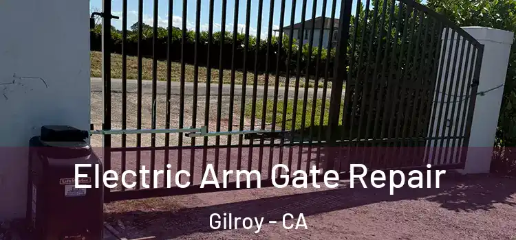 Electric Arm Gate Repair Gilroy - CA