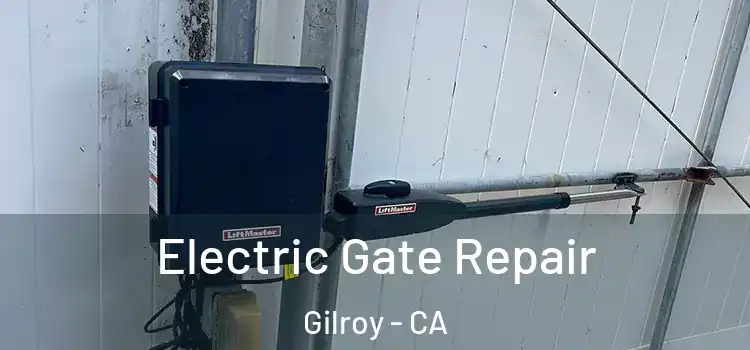 Electric Gate Repair Gilroy - CA