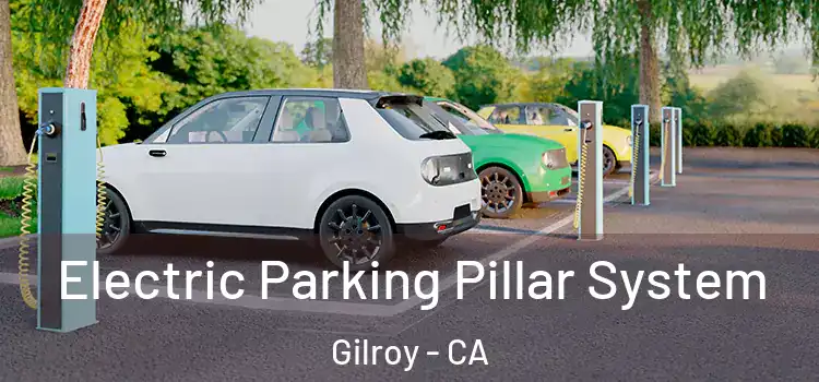 Electric Parking Pillar System Gilroy - CA