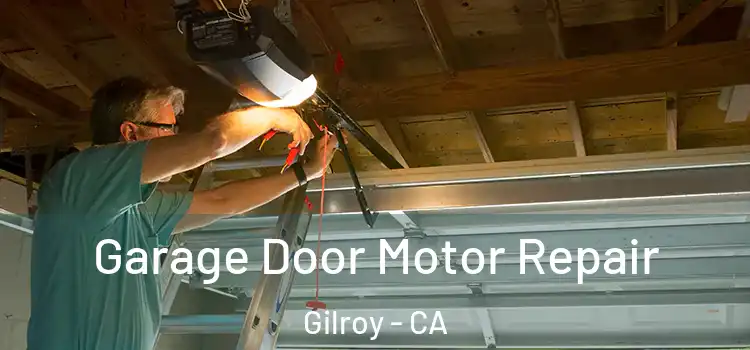  Garage Door Motor Repair Gilroy - CA