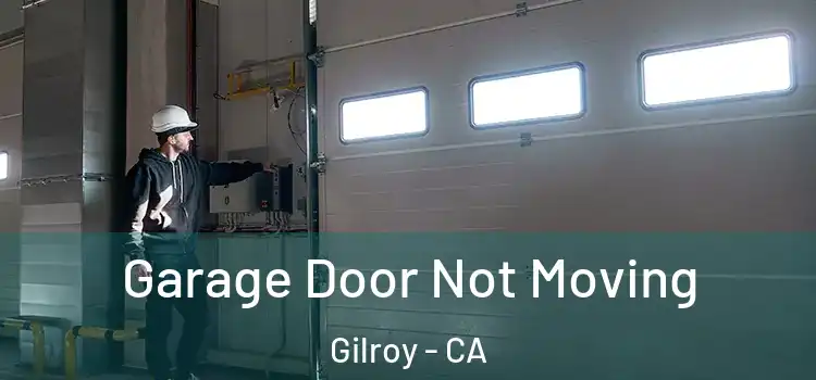  Garage Door Not Moving Gilroy - CA