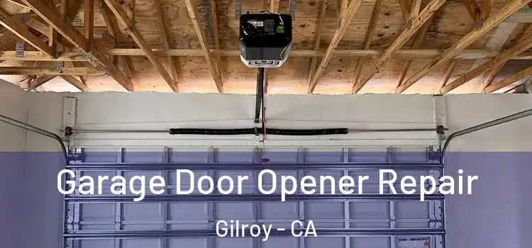  Garage Door Opener Repair Gilroy - CA