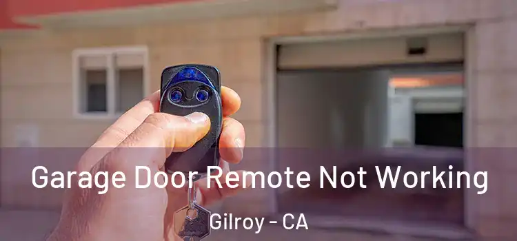  Garage Door Remote Not Working Gilroy - CA
