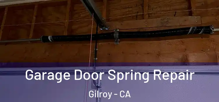  Garage Door Spring Repair Gilroy - CA