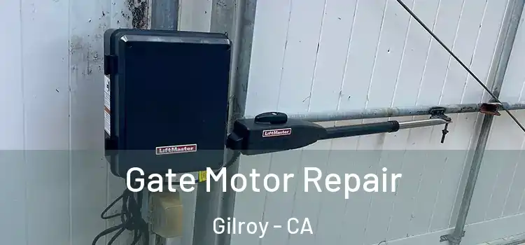  Gate Motor Repair Gilroy - CA