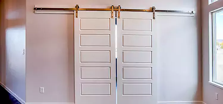 Glass Barn Door with Installation Hardware Kit Gilroy