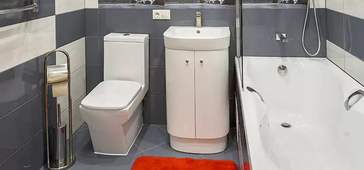 Hansgrohe Shaving Mirror Gilroy