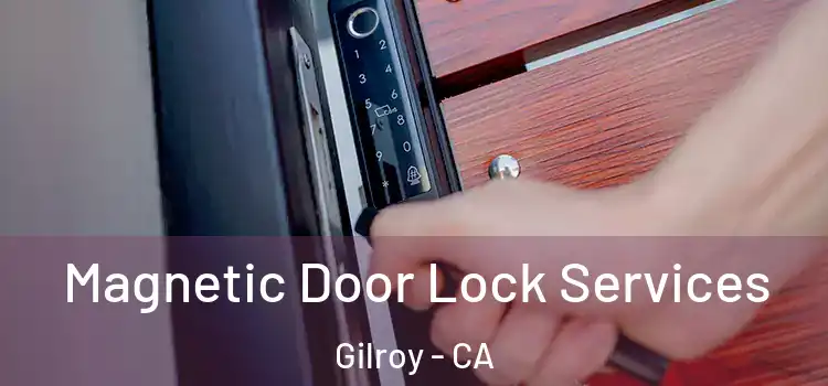 Magnetic Door Lock Services Gilroy - CA