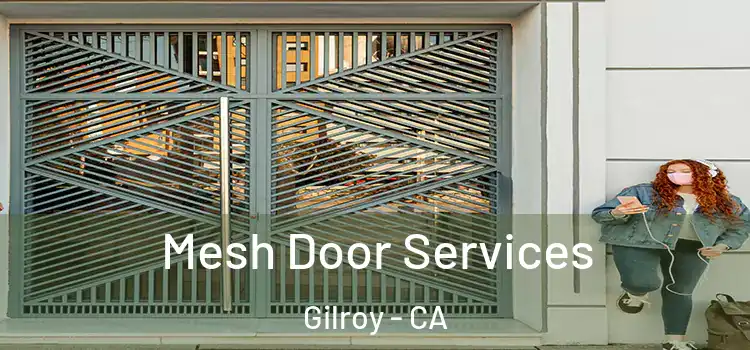 Mesh Door Services Gilroy - CA