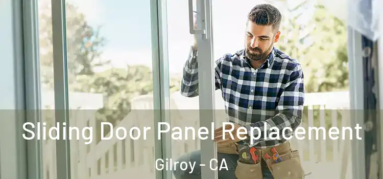  Sliding Door Panel Replacement Gilroy - CA