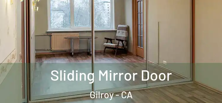  Sliding Mirror Door Gilroy - CA